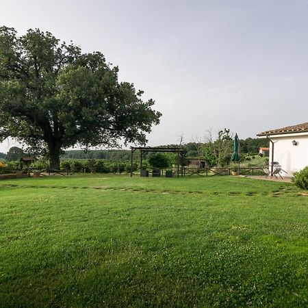 Agriturismo il Poggio Vetralla Esterno foto