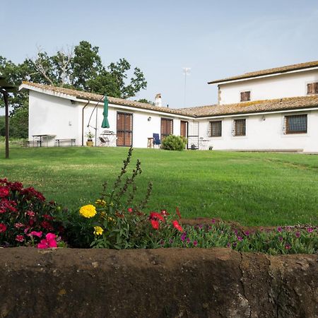 Agriturismo il Poggio Vetralla Esterno foto