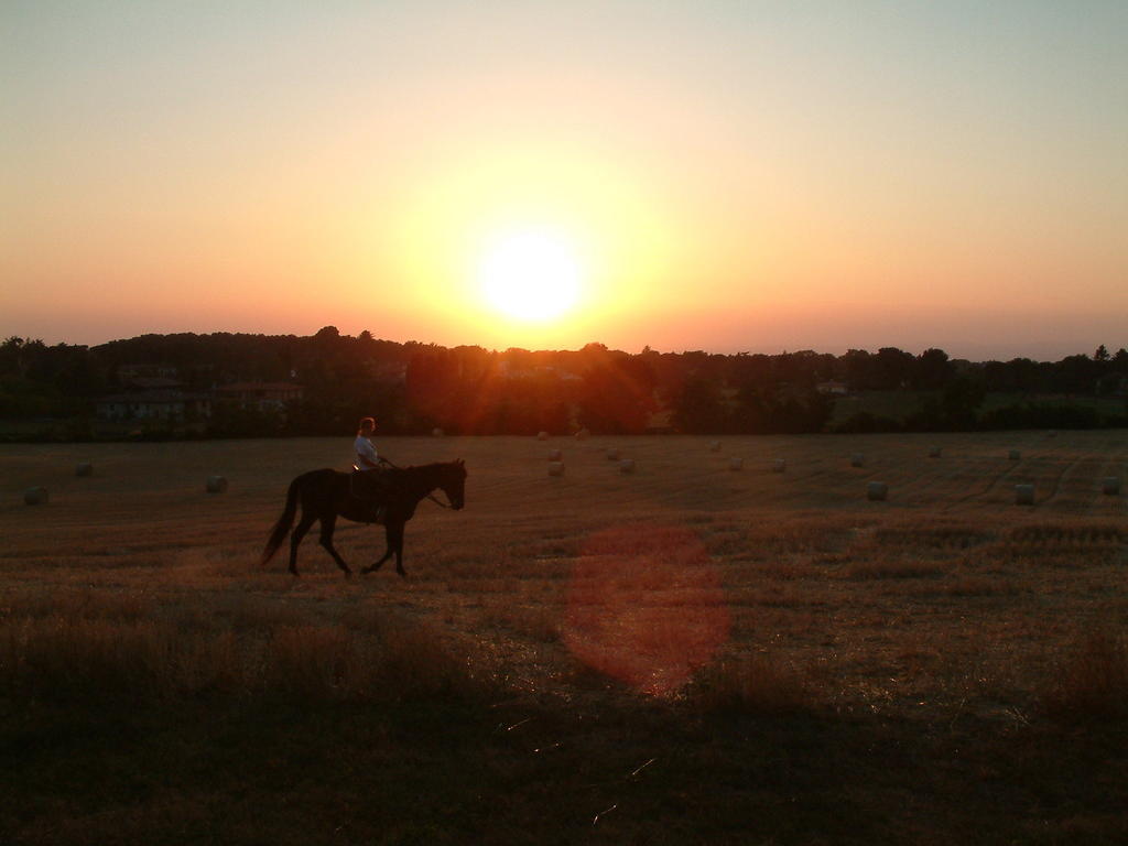 Agriturismo il Poggio Vetralla Esterno foto