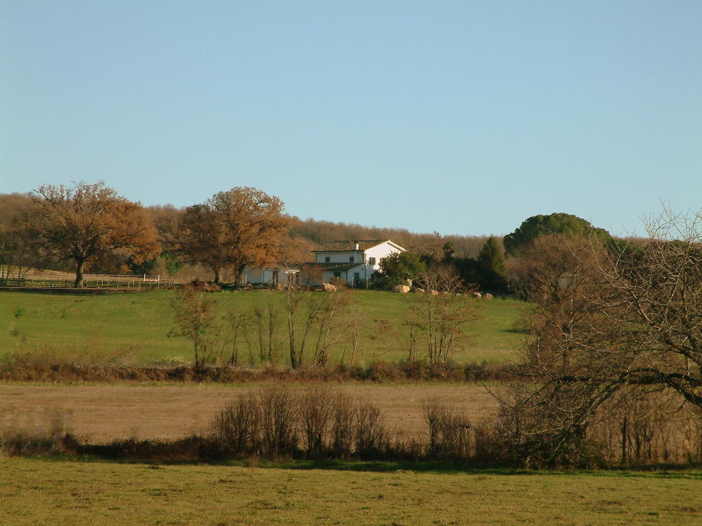 Agriturismo il Poggio Vetralla Esterno foto