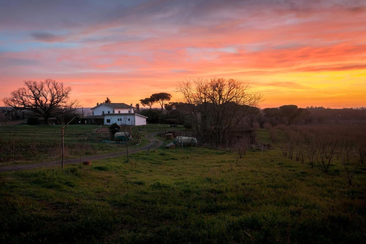 Agriturismo il Poggio Vetralla Esterno foto
