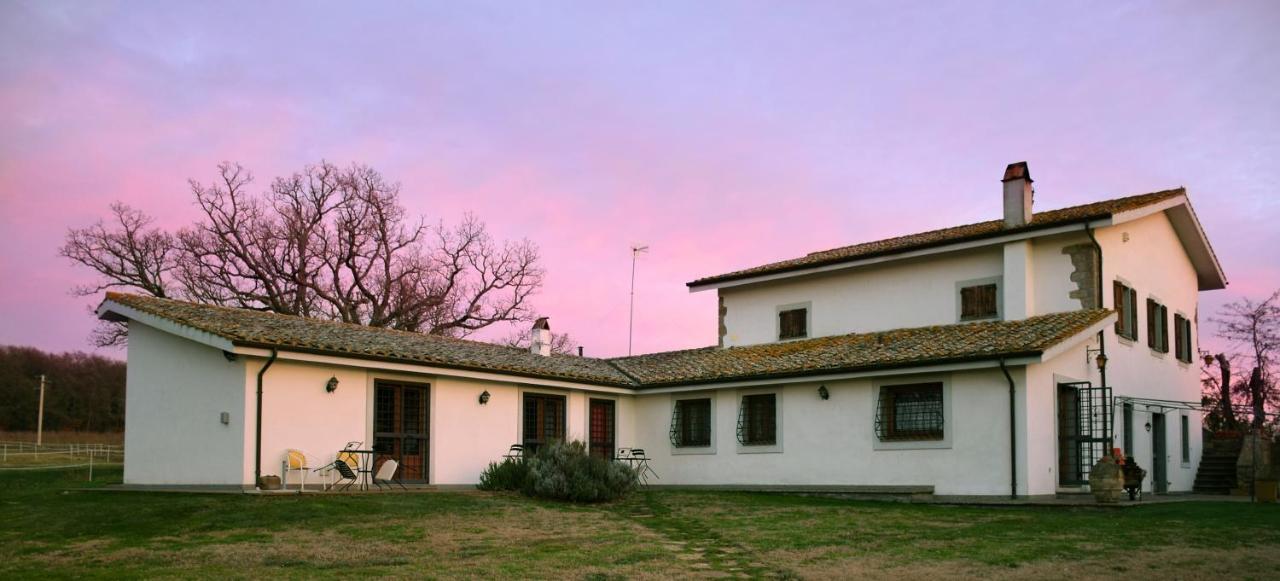 Agriturismo il Poggio Vetralla Esterno foto