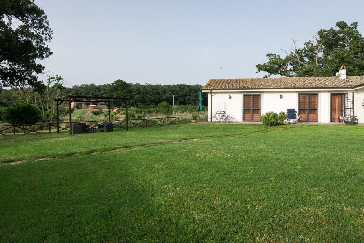 Agriturismo il Poggio Vetralla Esterno foto