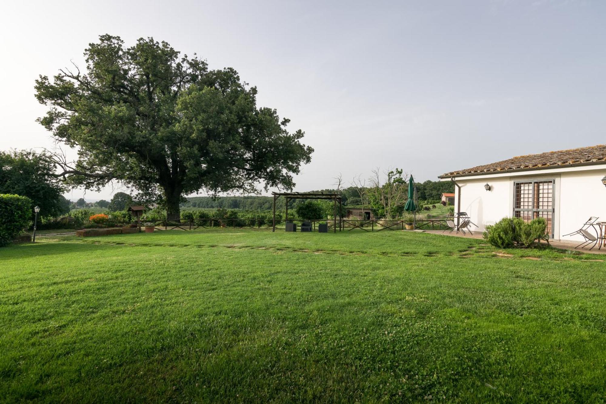 Agriturismo il Poggio Vetralla Esterno foto