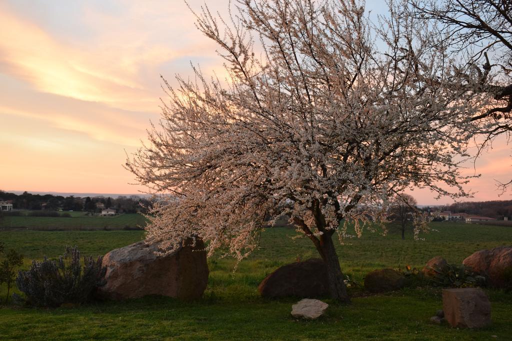 Agriturismo il Poggio Vetralla Esterno foto