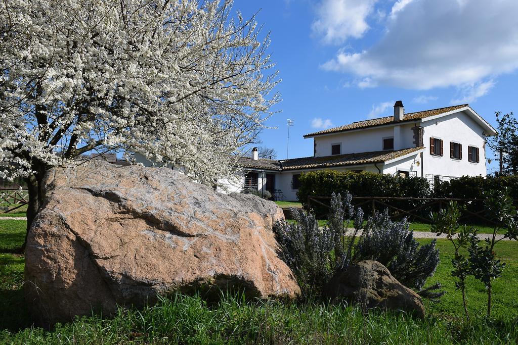 Agriturismo il Poggio Vetralla Esterno foto